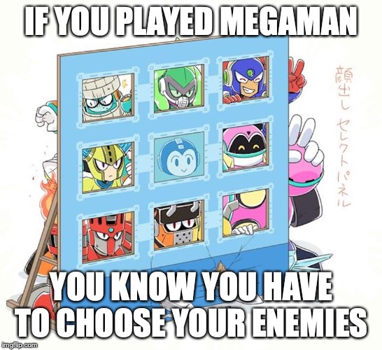 Megaman Panel | IF YOU PLAYED MEGAMAN; YOU KNOW YOU HAVE TO CHOOSE YOUR ENEMIES | image tagged in megaman,memes,gaming | made w/ Imgflip meme maker