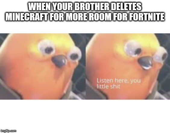 Listen here you little shit bird | WHEN YOUR BROTHER DELETES MINECRAFT FOR MORE ROOM FOR FORTNITE | image tagged in listen here you little shit bird | made w/ Imgflip meme maker