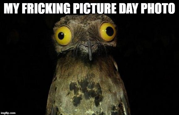 Weird Stuff I Do Potoo Meme | MY FRICKING PICTURE DAY PHOTO | image tagged in memes,weird stuff i do potoo | made w/ Imgflip meme maker