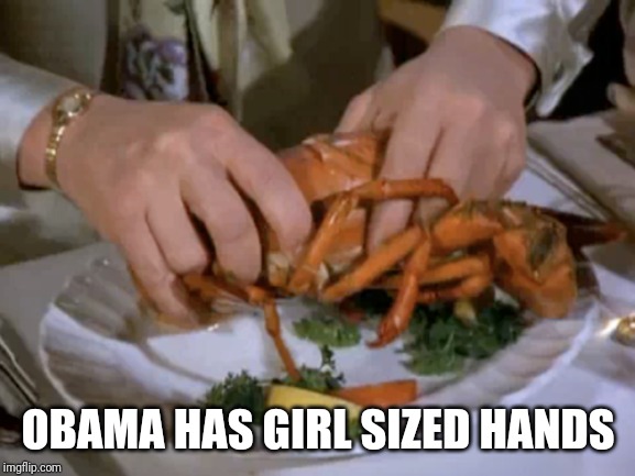 OBAMA HAS GIRL SIZED HANDS | made w/ Imgflip meme maker
