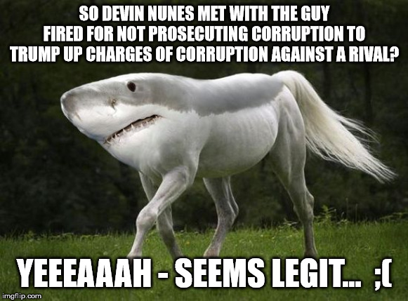 Horse of a different species. | SO DEVIN NUNES MET WITH THE GUY FIRED FOR NOT PROSECUTING CORRUPTION TO TRUMP UP CHARGES OF CORRUPTION AGAINST A RIVAL? YEEEAAAH - SEEMS LEGIT...  ;( | image tagged in seems legit,memes,politics | made w/ Imgflip meme maker