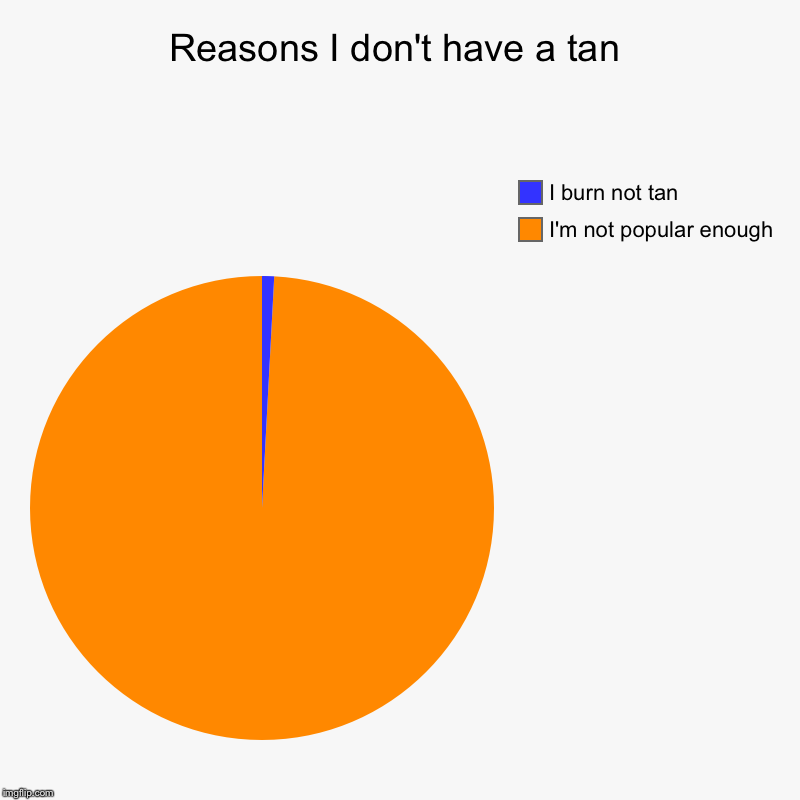 Reasons I don't have a tan | I'm not popular enough, I burn not tan | image tagged in charts,pie charts | made w/ Imgflip chart maker