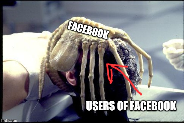 facehugger | FACEBOOK USERS OF FACEBOOK | image tagged in facehugger | made w/ Imgflip meme maker