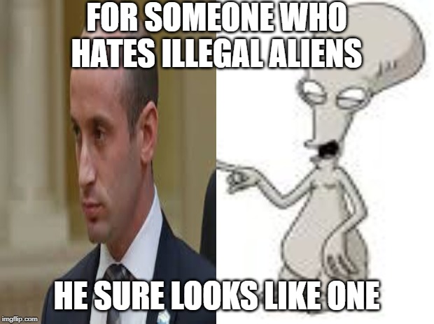 #Racist | FOR SOMEONE WHO HATES ILLEGAL ALIENS; HE SURE LOOKS LIKE ONE | image tagged in trump,white house,racist,neo-nazis,kkk | made w/ Imgflip meme maker