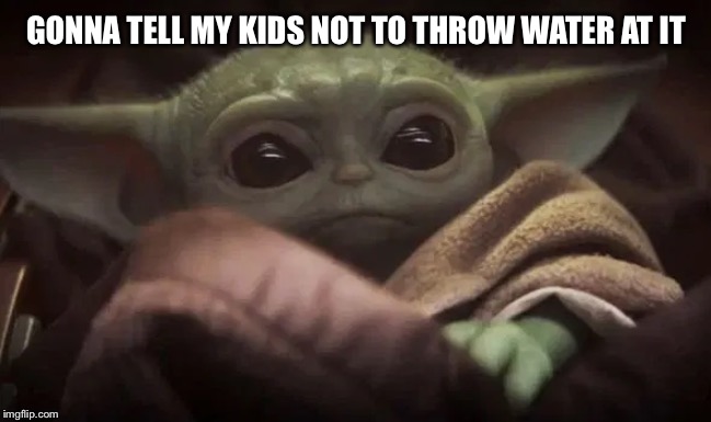 Baby Yoda | GONNA TELL MY KIDS NOT TO THROW WATER AT IT | image tagged in baby yoda | made w/ Imgflip meme maker