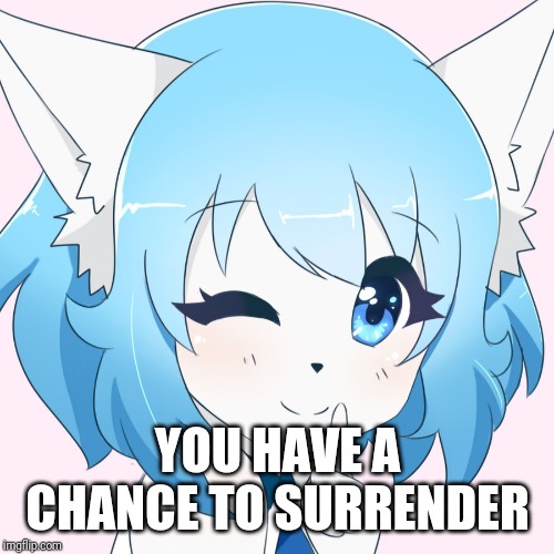 Wolfychu | YOU HAVE A CHANCE TO SURRENDER | image tagged in wolfychu | made w/ Imgflip meme maker