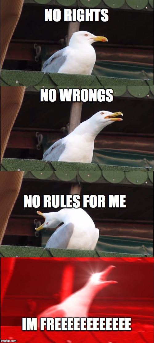 Inhaling Seagull Meme | NO RIGHTS; NO WRONGS; NO RULES FOR ME; IM FREEEEEEEEEEEE | image tagged in memes,inhaling seagull | made w/ Imgflip meme maker