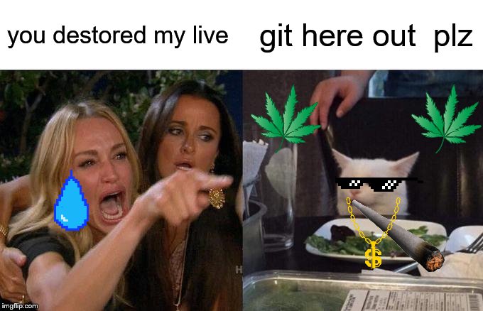 Woman Yelling At Cat Meme | you destored my live; git here out  plz | image tagged in memes,woman yelling at cat | made w/ Imgflip meme maker