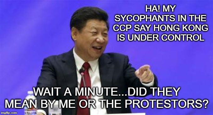Xi Jinping Laughing | HA! MY SYCOPHANTS IN THE CCP SAY HONG KONG IS UNDER CONTROL; WAIT A MINUTE...DID THEY MEAN BY ME OR THE PROTESTORS? | image tagged in xi jinping laughing | made w/ Imgflip meme maker