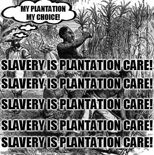 Next time someone says, "My body my choice" or "abortion is healthcare" | MY PLANTATION MY CHOICE! SLAVERY IS PLANTATION CARE! SLAVERY IS PLANTATION CARE! SLAVERY IS PLANTATION CARE! SLAVERY IS PLANTATION CARE! SLAVERY IS PLANTATION CARE! | image tagged in plantation slaves,my body my choice,pro-choice,women's health,healthcare,memes | made w/ Imgflip meme maker