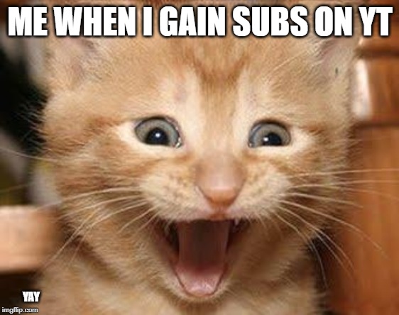 Excited Cat Meme | ME WHEN I GAIN SUBS ON YT; YAY | image tagged in memes,excited cat | made w/ Imgflip meme maker