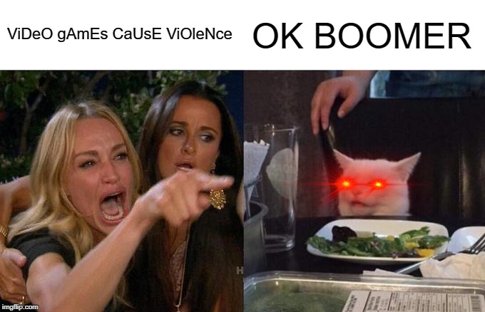 Woman Yelling At Cat Meme | ViDeO gAmEs CaUsE ViOleNce; OK BOOMER | image tagged in memes,woman yelling at cat | made w/ Imgflip meme maker