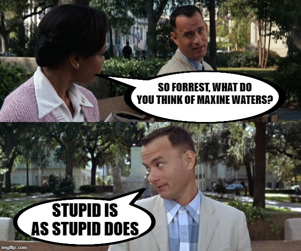 MAXINE WATERS RECKONS DR. BEN CARSON "LACKS THE INTELLIGENCE TO BE HUD SECRETARY". WHAT DO HER ACTIONS SUGGEST ABOUT HER? | SO FORREST, WHAT DO YOU THINK OF MAXINE WATERS? STUPID IS AS STUPID DOES | image tagged in forest gump,forrest gump | made w/ Imgflip meme maker