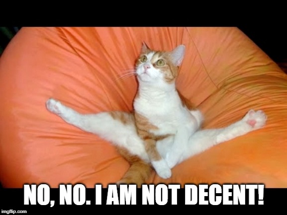 Nekkid Cat | NO, NO. I AM NOT DECENT! | image tagged in funny cat | made w/ Imgflip meme maker