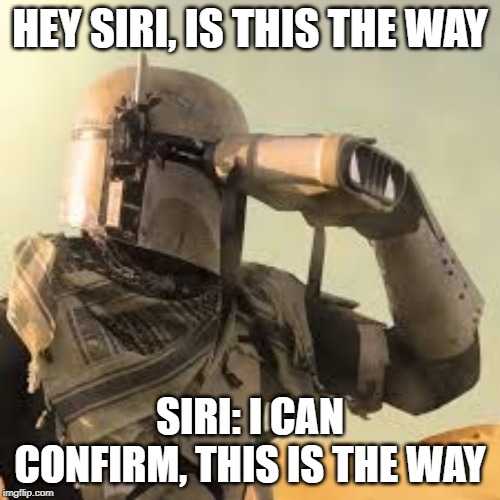 mandalorian with binoculars | HEY SIRI, IS THIS THE WAY; SIRI: I CAN CONFIRM, THIS IS THE WAY | image tagged in mandalorian with binoculars | made w/ Imgflip meme maker