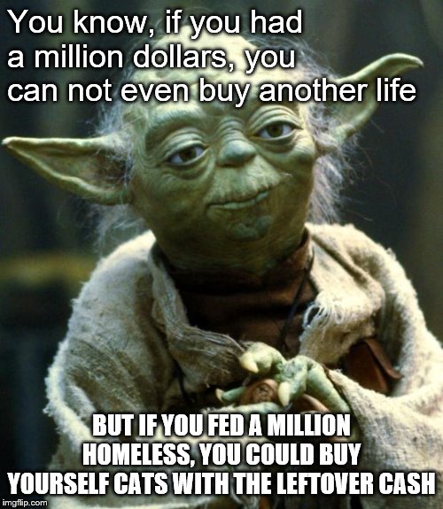 Star Wars Yoda Meme | You know, if you had a million dollars, you can not even buy another life; BUT IF YOU FED A MILLION HOMELESS, YOU COULD BUY YOURSELF CATS WITH THE LEFTOVER CASH | image tagged in memes,star wars yoda | made w/ Imgflip meme maker