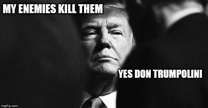Trump | MY ENEMIES KILL THEM; YES DON TRUMPOLINI | image tagged in trump | made w/ Imgflip meme maker