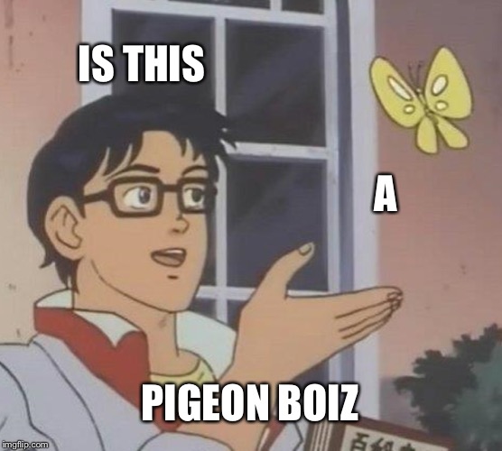Is This A Pigeon | IS THIS; A; PIGEON BOIZ | image tagged in memes,is this a pigeon | made w/ Imgflip meme maker