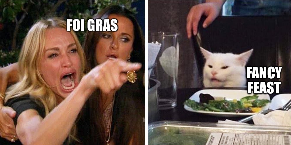 Smudge the cat | FOI GRAS; FANCY FEAST | image tagged in smudge the cat,bad memes,bad meme,funny memes,memes,cat | made w/ Imgflip meme maker