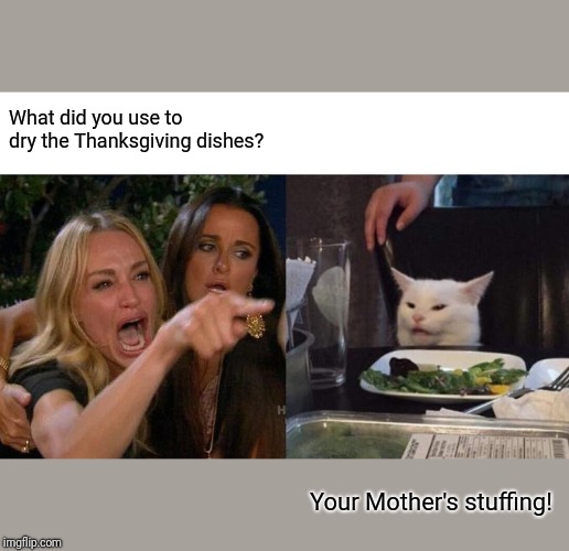 Woman Yelling At Cat Meme | What did you use to dry the Thanksgiving dishes? Your Mother's stuffing! | image tagged in memes,woman yelling at cat | made w/ Imgflip meme maker