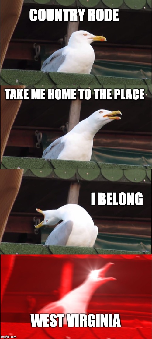 Inhaling Seagull | COUNTRY RODE; TAKE ME HOME TO THE PLACE; I BELONG; WEST VIRGINIA | image tagged in memes,inhaling seagull | made w/ Imgflip meme maker