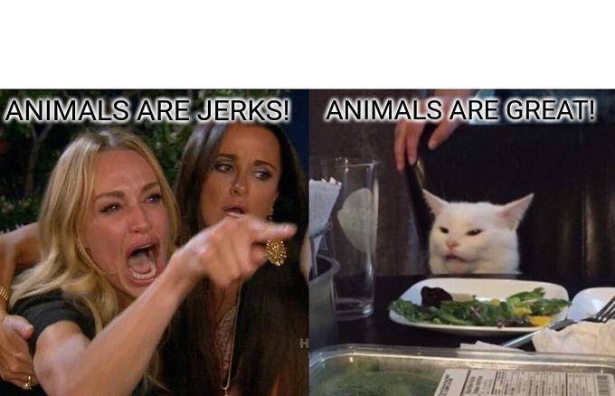 Woman Yelling At Cat Meme | ANIMALS ARE JERKS! ANIMALS ARE GREAT! | image tagged in memes,woman yelling at cat | made w/ Imgflip meme maker