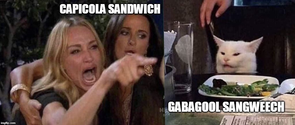 woman yelling at cat | CAPICOLA SANDWICH; GABAGOOL SANGWEECH | image tagged in woman yelling at cat | made w/ Imgflip meme maker