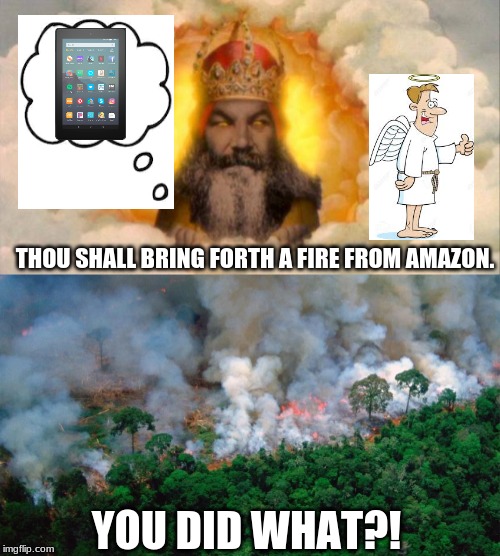 THOU SHALL BRING FORTH A FIRE FROM AMAZON. YOU DID WHAT?! | image tagged in monty python god | made w/ Imgflip meme maker