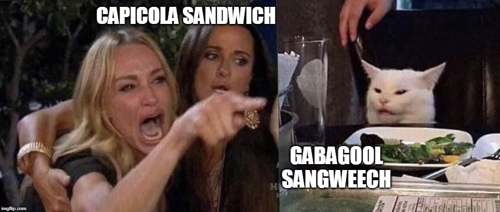 woman yelling at cat | CAPICOLA SANDWICH; GABAGOOL
SANGWEECH | image tagged in woman yelling at cat | made w/ Imgflip meme maker