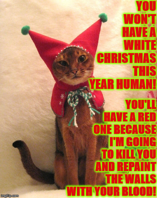 RED CHRISTMAS | YOU WON'T HAVE A WHITE CHRISTMAS THIS YEAR HUMAN! YOU'LL HAVE A RED ONE BECAUSE I'M GOING TO KILL YOU AND REPAINT THE WALLS WITH YOUR BLOOD! | image tagged in red christmas | made w/ Imgflip meme maker