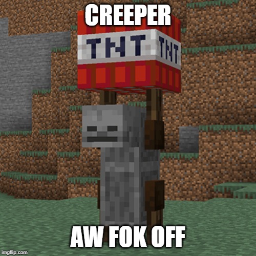 Tnt yeeter | CREEPER; AW FOK OFF | image tagged in tnt yeeter | made w/ Imgflip meme maker