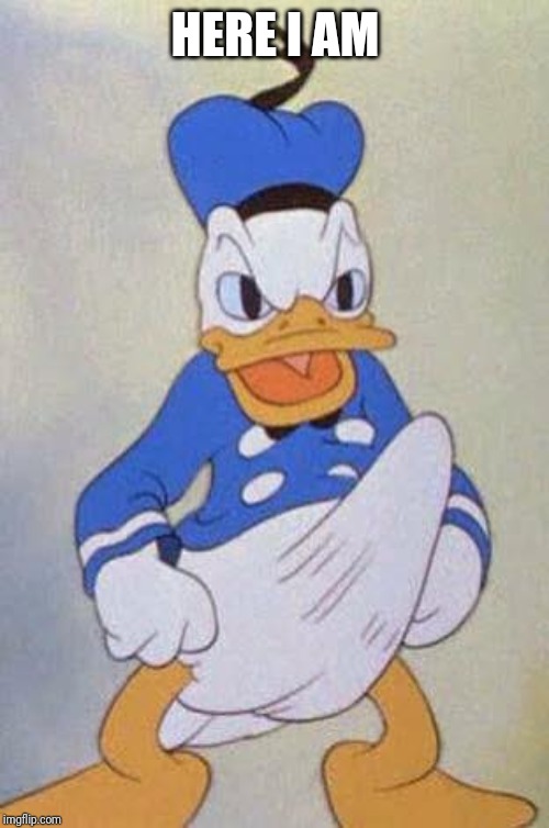 Horny Donald Duck | HERE I AM | image tagged in horny donald duck | made w/ Imgflip meme maker
