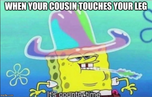 its cousin time | WHEN YOUR COUSIN TOUCHES YOUR LEG | image tagged in memes | made w/ Imgflip meme maker