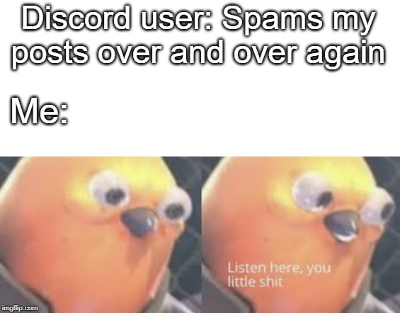 Discord users when they spam my posts over and over again... | Discord user: Spams my posts over and over again; Me: | image tagged in listen here you little shit bird,relateable,so true memes,discord | made w/ Imgflip meme maker