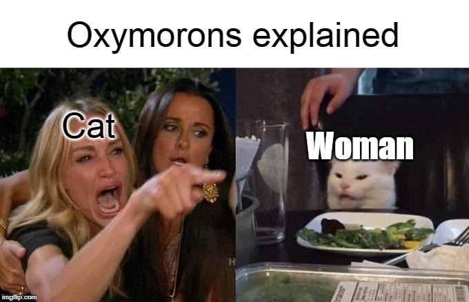 Woman Yelling At Cat Meme | Oxymorons explained; Cat; Woman | image tagged in memes,woman yelling at cat | made w/ Imgflip meme maker