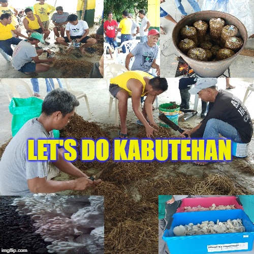 High Quality MEME2 Blank Meme Template