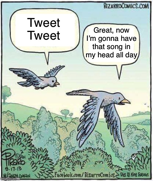 Birdbrains | Great, now I’m gonna have that song in my head all day; Tweet Tweet | image tagged in migrating birds,song,birds | made w/ Imgflip meme maker