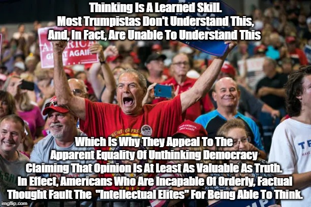 "The Unthinking" Fault The "Intellectual Elites" For Being Able To Think | Thinking Is A Learned Skill.Most Trumpistas Don't Understand This, And, In Fact, Are Unable To Understand This Which Is Why They Appeal To  | image tagged in thinking,reasoning,truth,opinion trumps truth,idiocy rules,the intellectual elites know how to think and this infuriates the unt | made w/ Imgflip meme maker