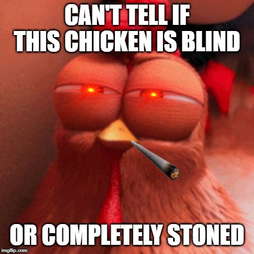 disapproving chicken despicable me 2 | CAN'T TELL IF THIS CHICKEN IS BLIND; OR COMPLETELY STONED | image tagged in disapproving chicken despicable me 2 | made w/ Imgflip meme maker