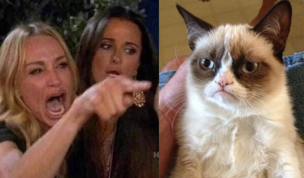High Quality Woman Yelling at Grumpy Cat Blank Meme Template