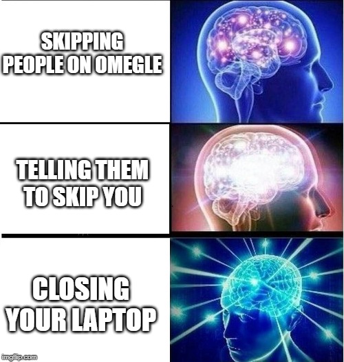 Expanding brain 3 panels | SKIPPING PEOPLE ON OMEGLE; TELLING THEM TO SKIP YOU; CLOSING YOUR LAPTOP | image tagged in expanding brain 3 panels | made w/ Imgflip meme maker