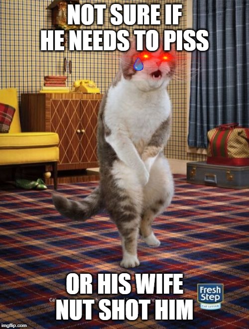 Gotta Go Cat | NOT SURE IF HE NEEDS TO PISS; OR HIS WIFE NUT SHOT HIM | image tagged in memes,gotta go cat | made w/ Imgflip meme maker
