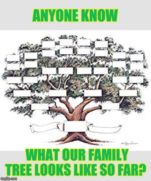 Family tree | ANYONE KNOW; WHAT OUR FAMILY TREE LOOKS LIKE SO FAR? | image tagged in family tree | made w/ Imgflip meme maker