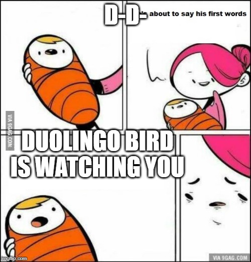 He is About to Say His First Words | D-D-; DUOLINGO BIRD IS WATCHING YOU | image tagged in he is about to say his first words | made w/ Imgflip meme maker