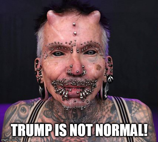 Go bernie | TRUMP IS NOT NORMAL! | image tagged in go bernie | made w/ Imgflip meme maker