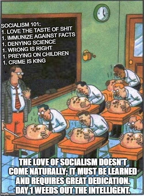 every day in socialism class is the first day. | SOCIALISM 101:

1. LOVE THE TASTE OF SHIT
1. IMMUNIZE AGAINST FACTS
1. DENYING SCIENCE
1. WRONG IS RIGHT
1. PREYING ON CHILDREN
1. CRIME IS KING; THE LOVE OF SOCIALISM DOESN'T COME NATURALLY; IT MUST BE LEARNED
AND REQUIRES GREAT DEDICATION.
DAY 1 WEEDS OUT THE INTELLIGENT. | image tagged in socialism,class | made w/ Imgflip meme maker