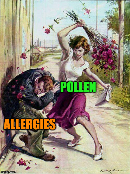 Beaten with Roses | POLLEN; ALLERGIES | image tagged in beaten with roses | made w/ Imgflip meme maker