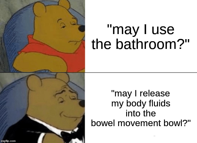 Bowel Movement Bowl | "may I use the bathroom?"; "may I release my body fluids into the bowel movement bowl?" | image tagged in memes,tuxedo winnie the pooh | made w/ Imgflip meme maker