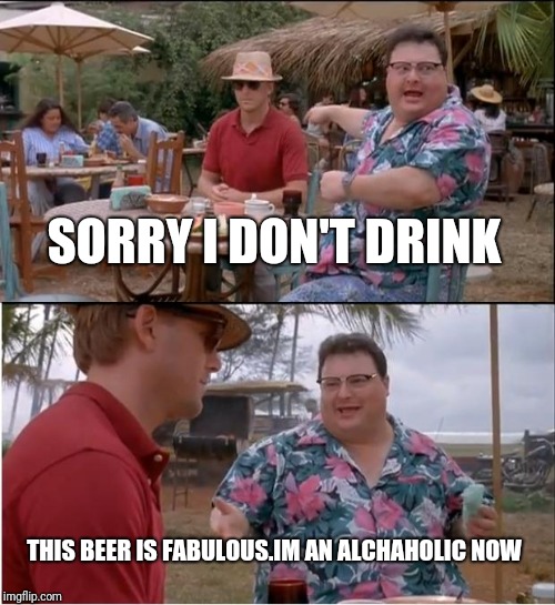 See Nobody Cares | SORRY I DON'T DRINK; THIS BEER IS FABULOUS.IM AN ALCHAHOLIC NOW | image tagged in memes,see nobody cares | made w/ Imgflip meme maker