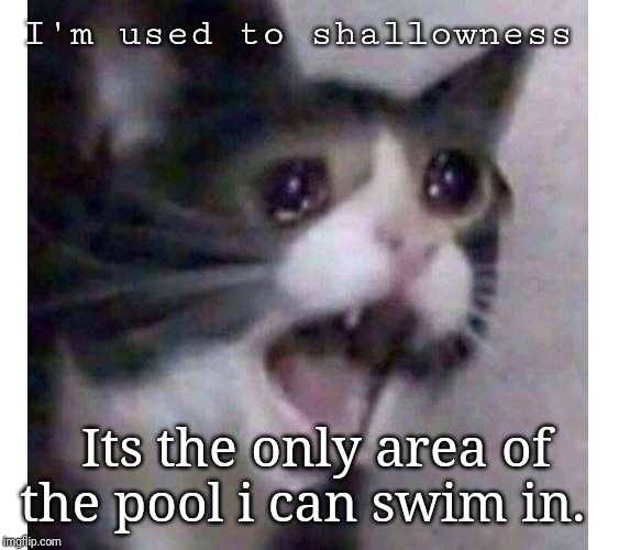 Shallow End | I'm used to shallowness; Its the only area of the pool i can swim in. | image tagged in dark humor,cat memes,sad cat | made w/ Imgflip meme maker